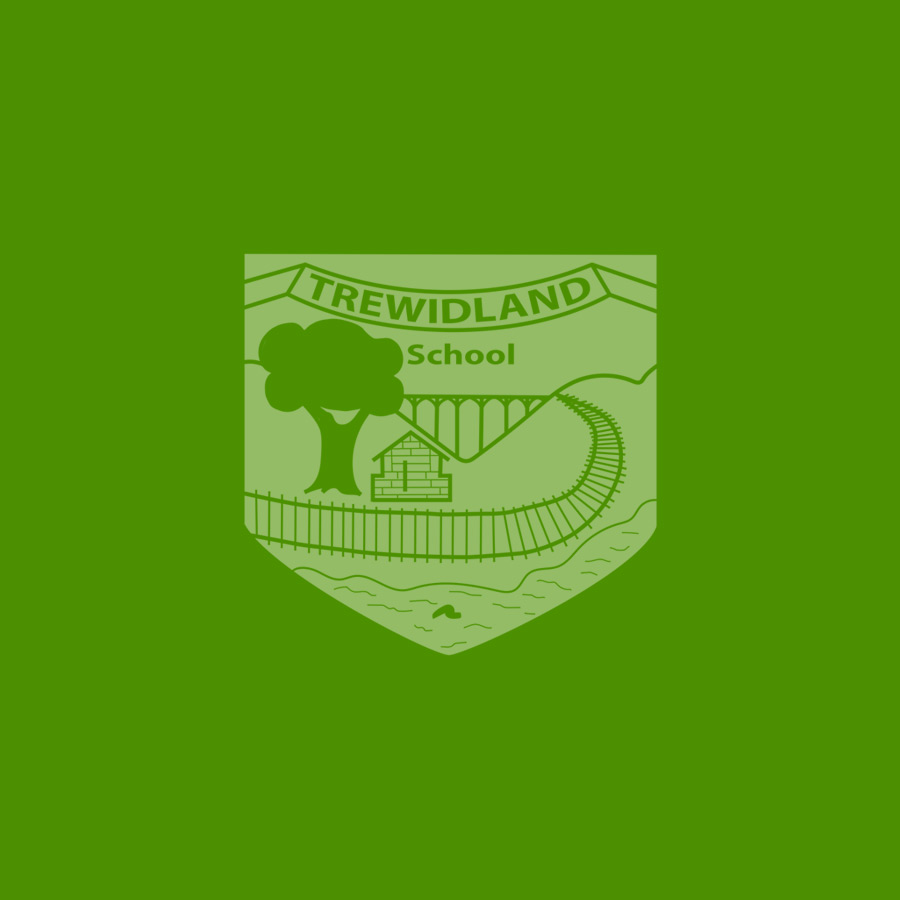 Trewidland Primary And Pre School Attendance